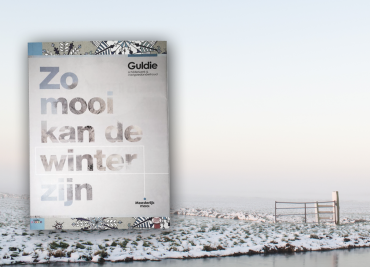 6 voordelen van een winterschilder